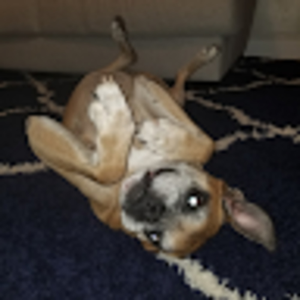 Meet your Posher, Jessica leilani